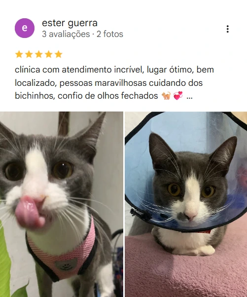 Avaliação 5 estrelas