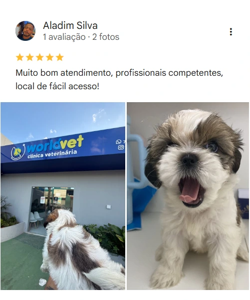 Avaliação 5 estrelas