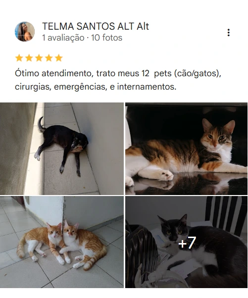Avaliação 5 estrelas