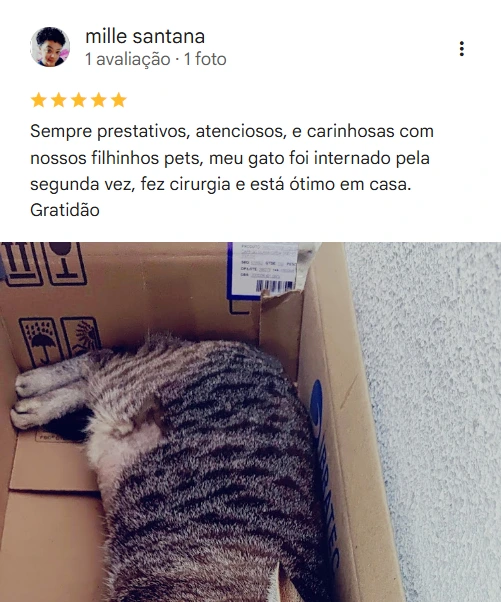 Avaliação 5 estrelas